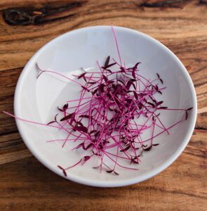 Amaranth Microgreen Magic
