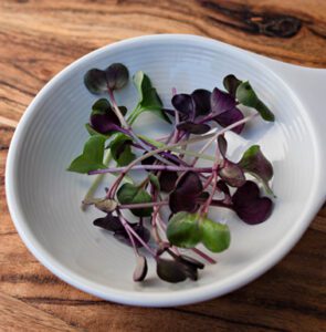Red Radish Microgreen Magic