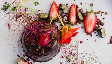 Microgreen Magic - Amaranth and Chocolate